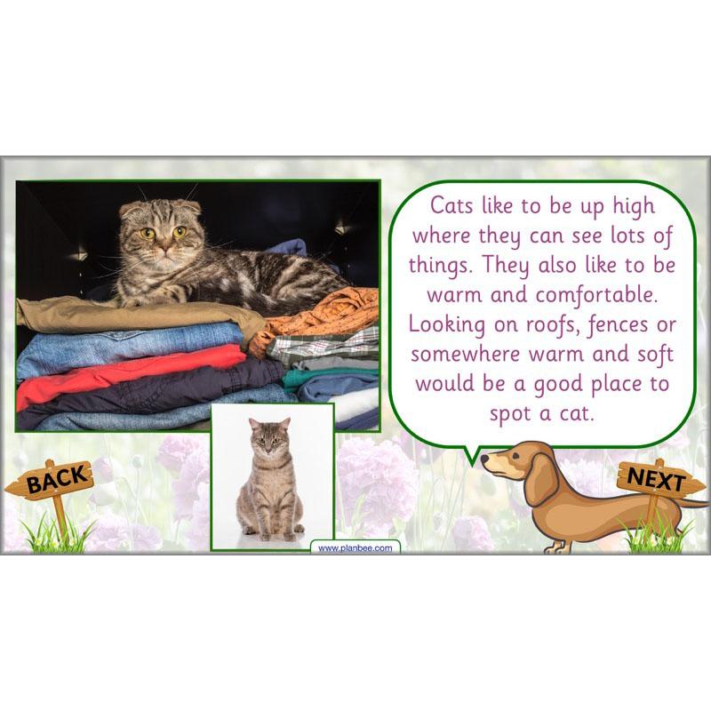 PlanBee Pets and Gardens Year 1 Science Lesson Plans by PlanBee