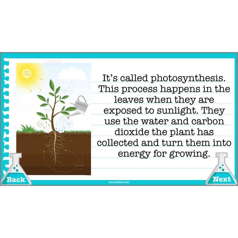 Scientific Enquiry KS2 Lessons - What Do Scientists Do?