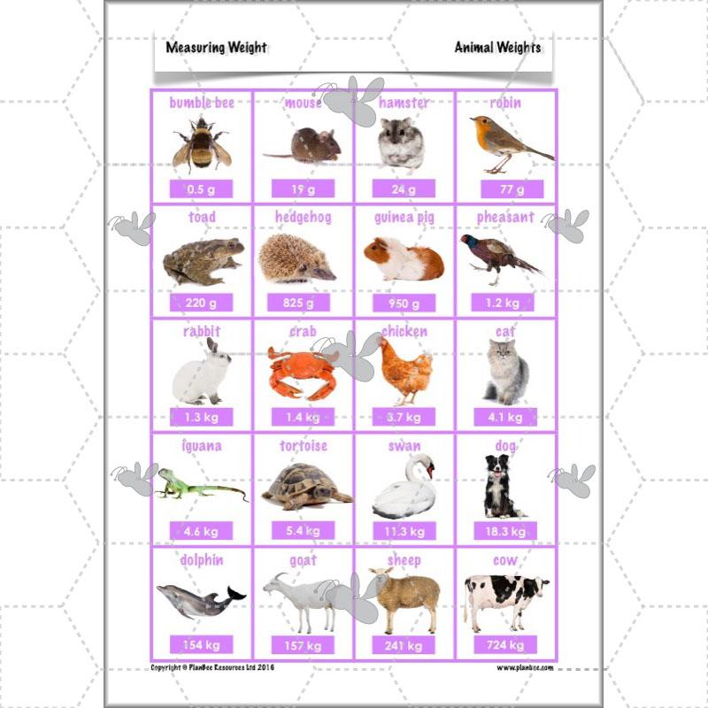 PlanBee Measuring Weight - Measurement: Primary Year 4 Maths Planning KS2