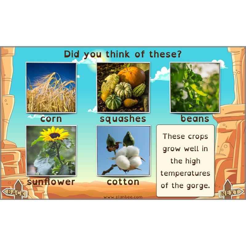 PlanBee The Grand Canyon KS2 Geography Lesson Plans