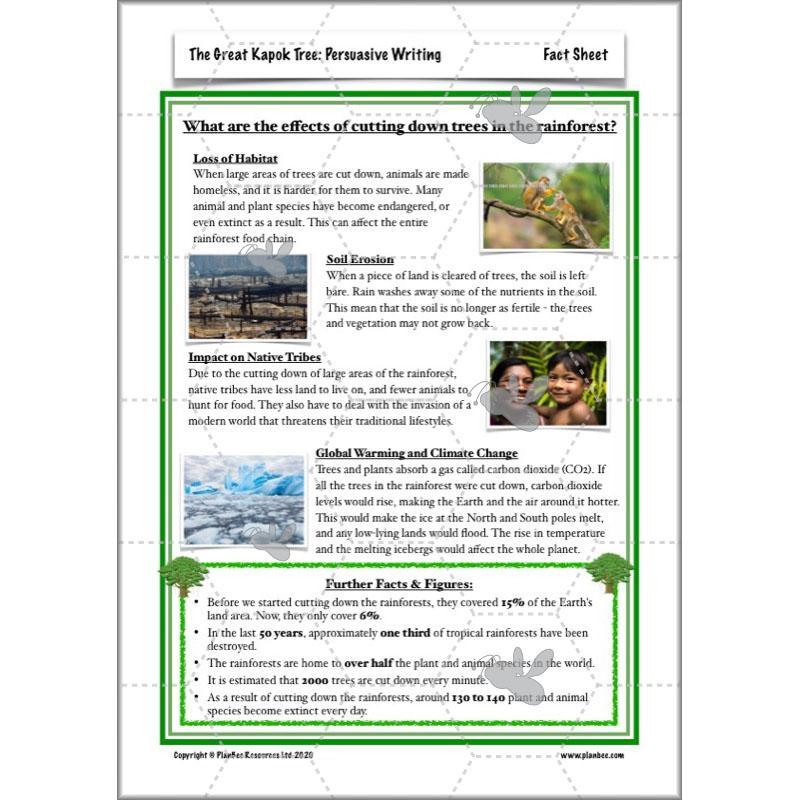 PlanBee The Great Kapok Tree Planning Year 4 | PlanBee				