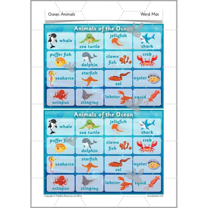 PlanBee FREE Under the Sea KS1 Ocean Animals lesson pack | PlanBee