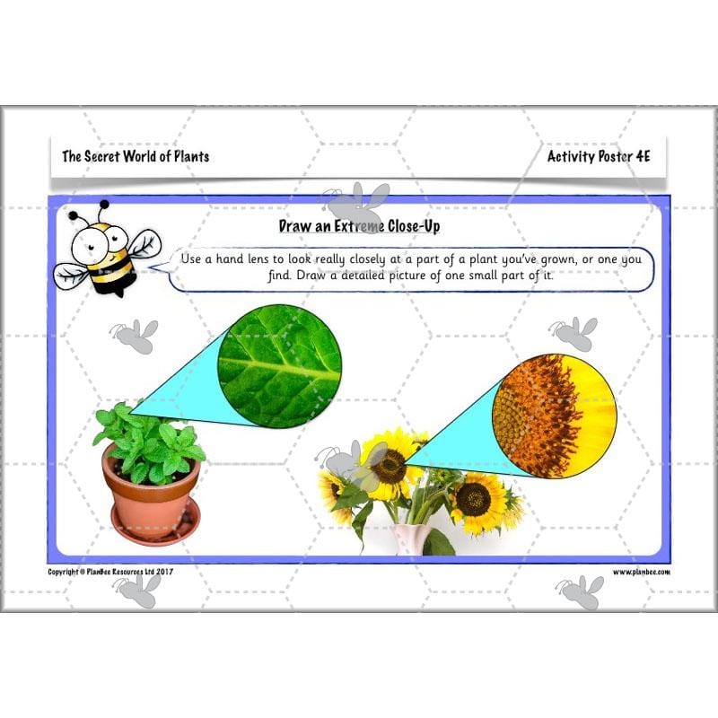 PlanBee Secret World of Plants - KS1 Science Scheme of Work: Year 2