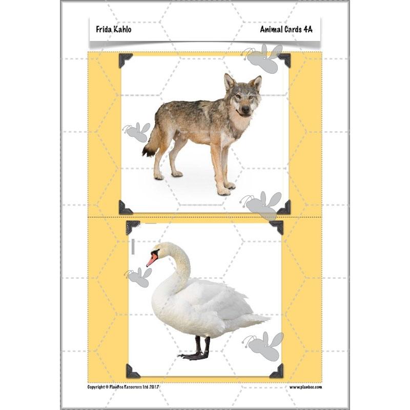 PlanBee KS2 Frida Kahlo for Kids Art Lesson Pack by PlanBee