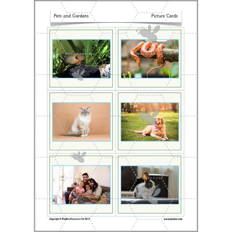 PlanBee Pets and Gardens Year 1 Science Lesson Plans by PlanBee