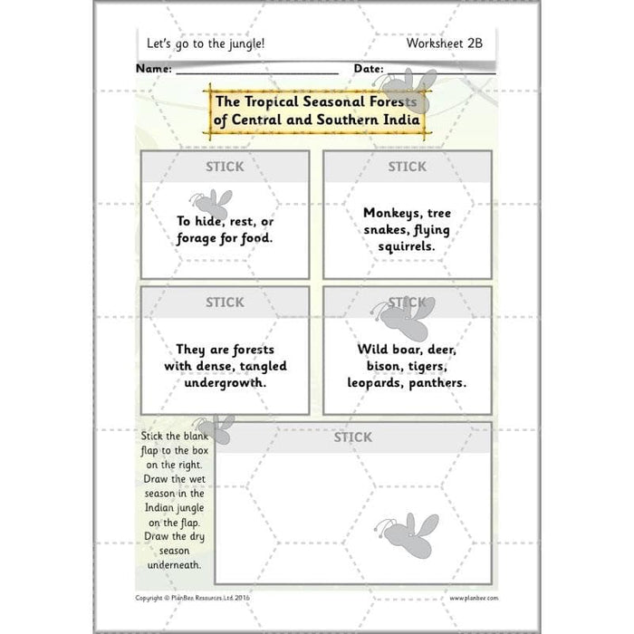 PlanBee Let's go to the Jungle Geography lessons for KS1