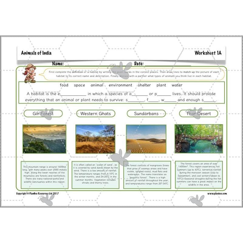 PlanBee Animals of India complete Science scheme of work for KS2