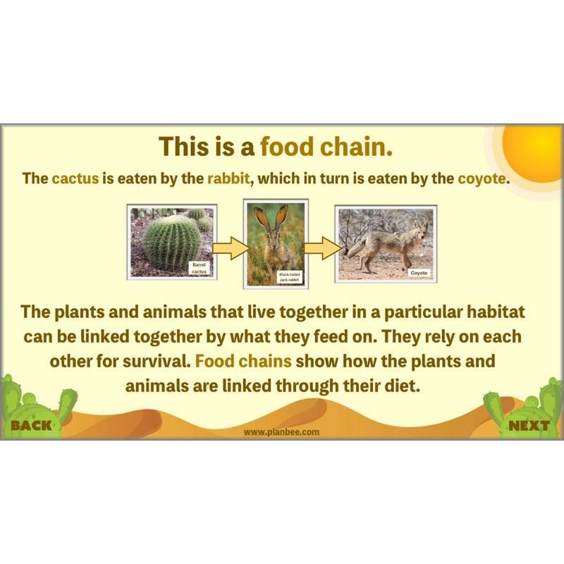 PlanBee Desert Life: KS2 Science Plans