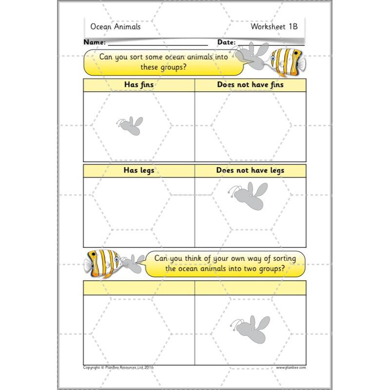 PlanBee FREE Under the Sea KS1 Ocean Animals lesson pack | PlanBee