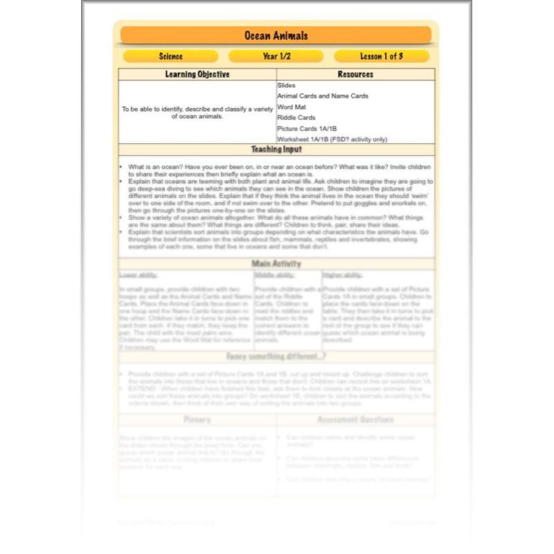 PlanBee FREE Under the Sea KS1 Ocean Animals lesson pack | PlanBee