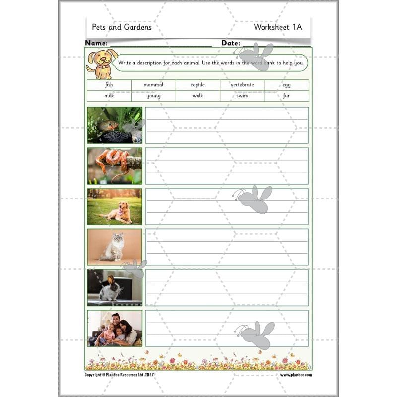 PlanBee Pets and Gardens Year 1 Science Lesson Plans by PlanBee