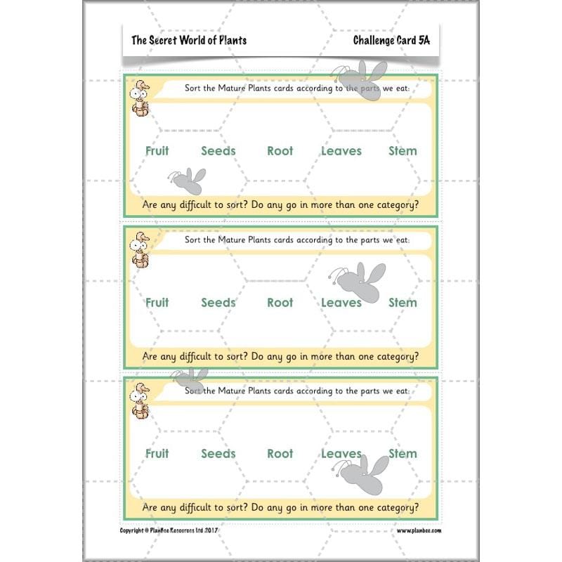 PlanBee Secret World of Plants - KS1 Science Scheme of Work: Year 2