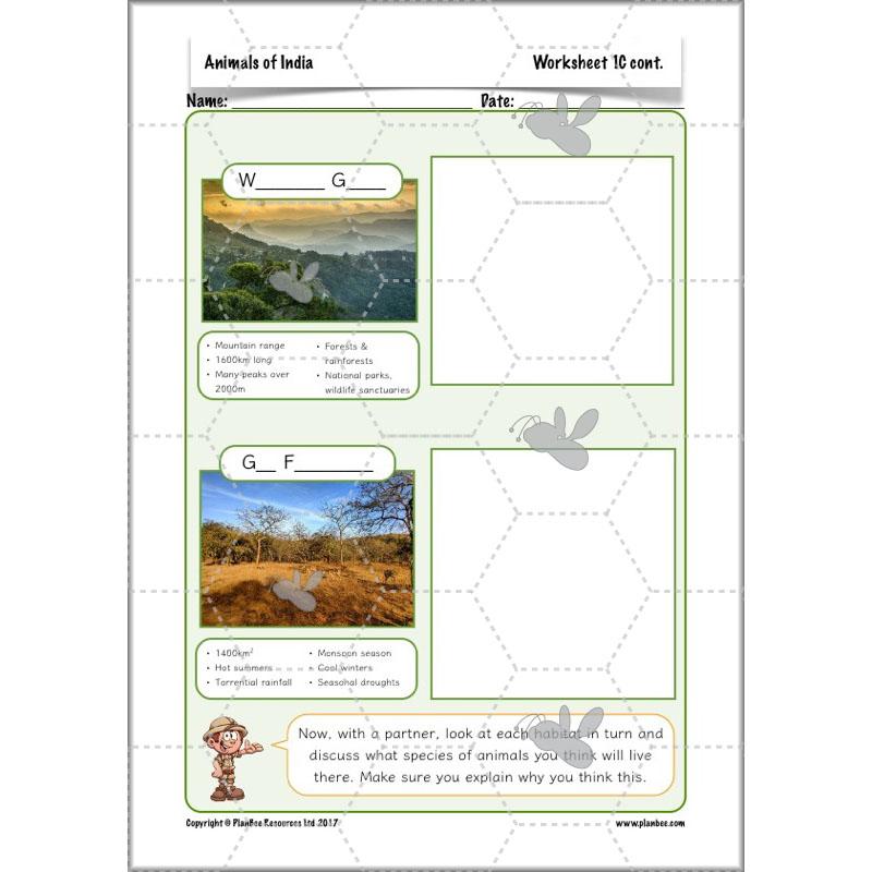 PlanBee Animals of India complete Science scheme of work for KS2