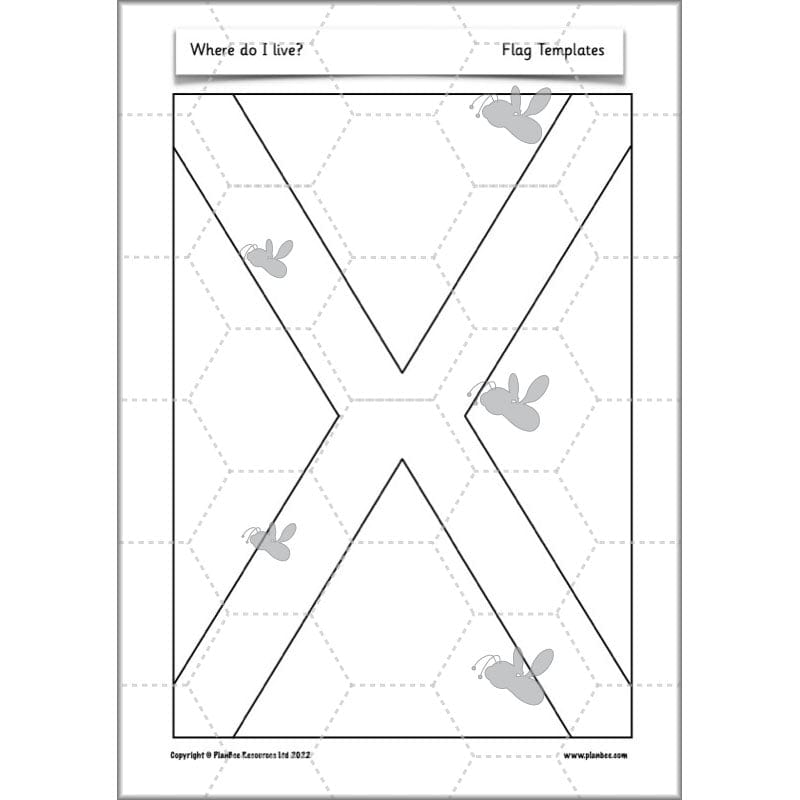 PlanBee Our Local Area KS1 Geography Planning | PlanBee