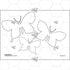 PlanBee Earth Art KS1 Nature Art for Kids by PlanBee