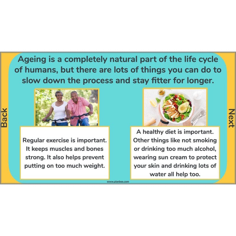 PlanBee Human Life Cycle KS2 lessons | Year 5 Science by PlanBee