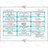 PlanBee Properties of Shapes Year 2 Maths Lessons by PlanBee