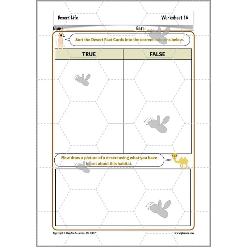 PlanBee Desert Life: KS2 Science Plans