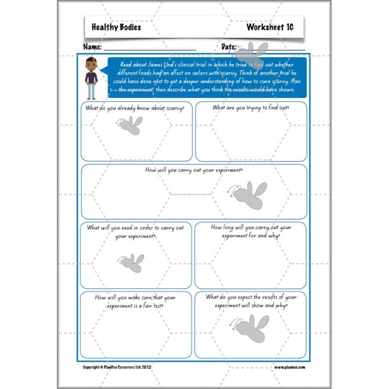 PlanBee Healthy Bodies Animals including Humans Year 6 Planning