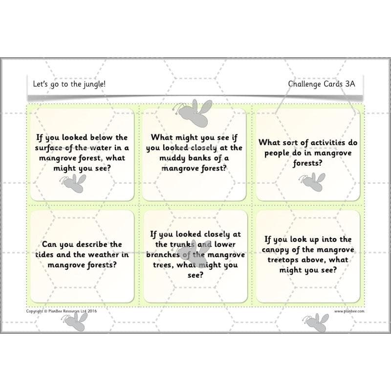 PlanBee Let's go to the Jungle Geography lessons for KS1