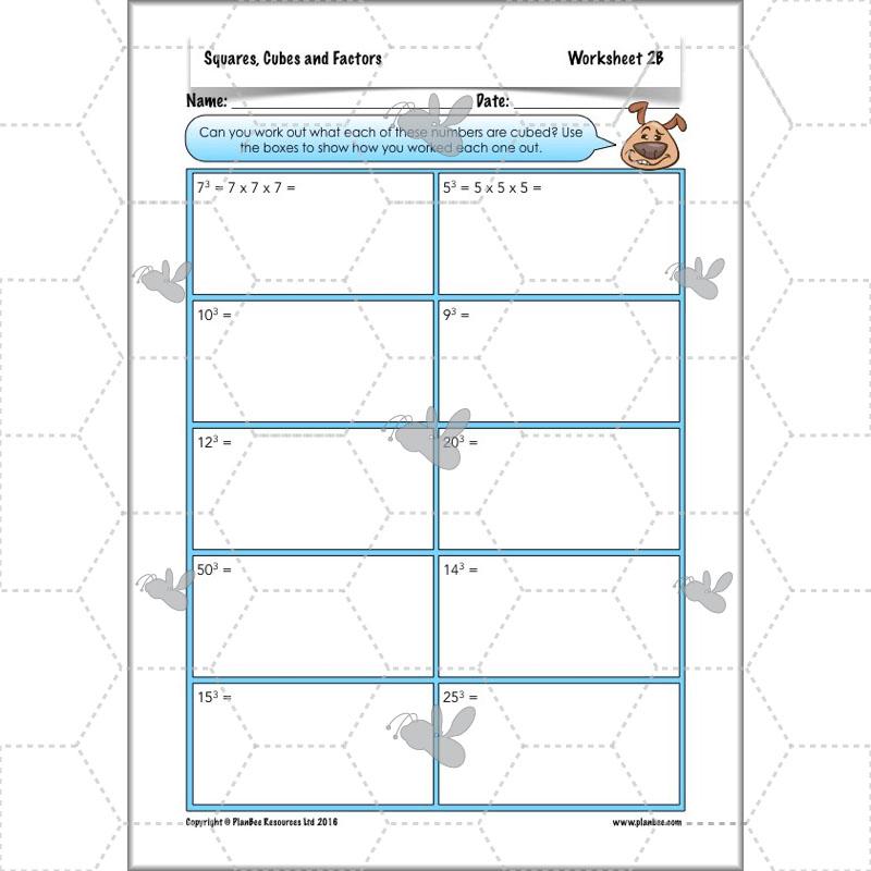 PlanBee Square Numbers, Cube Numbers and Factor Pairs | KS2 Year 5