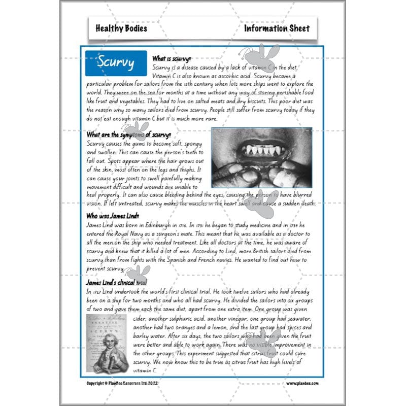 PlanBee Healthy Bodies Animals including Humans Year 6 Planning