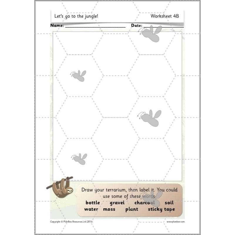PlanBee Let's go to the Jungle Geography lessons for KS1
