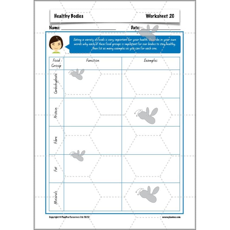 PlanBee Healthy Bodies Animals including Humans Year 6 Planning