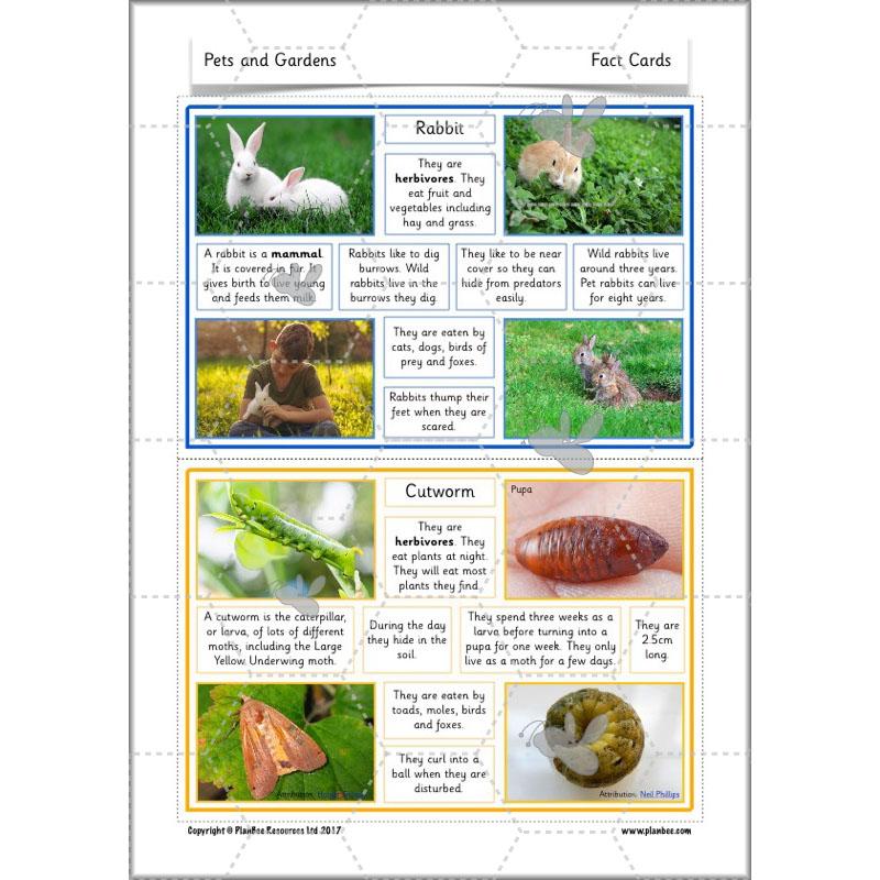PlanBee Pets and Gardens Year 1 Science Lesson Plans by PlanBee