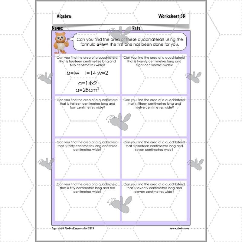 PlanBee Algebra: simple algebra lesson planning for Year 6