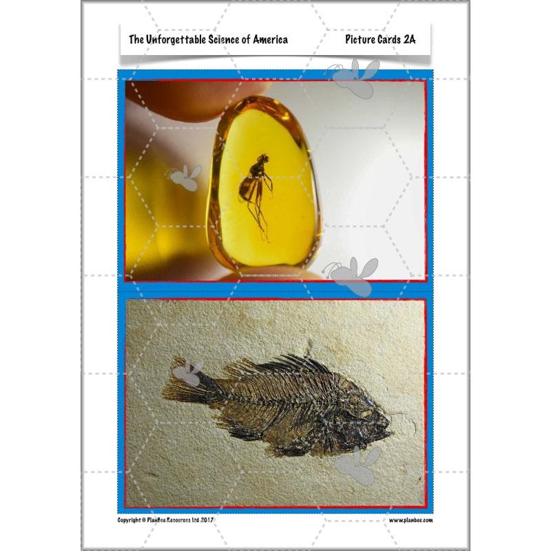 PlanBee The Unforgettable Science of America: KS2 Science Planning