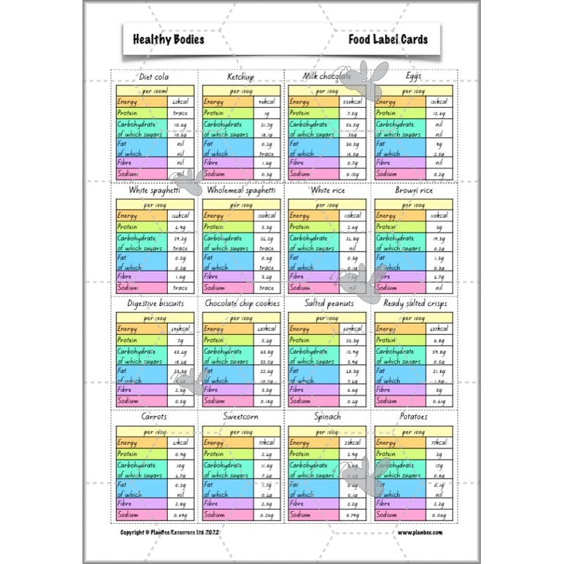 PlanBee Healthy Bodies Animals including Humans Year 6 Planning
