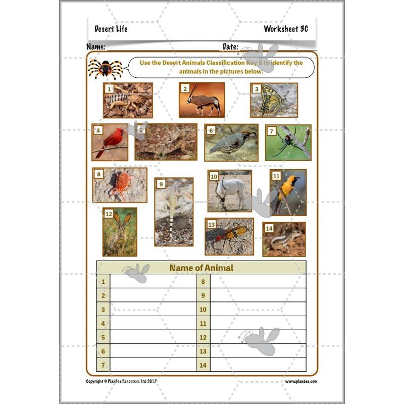 PlanBee Desert Life: KS2 Science Plans