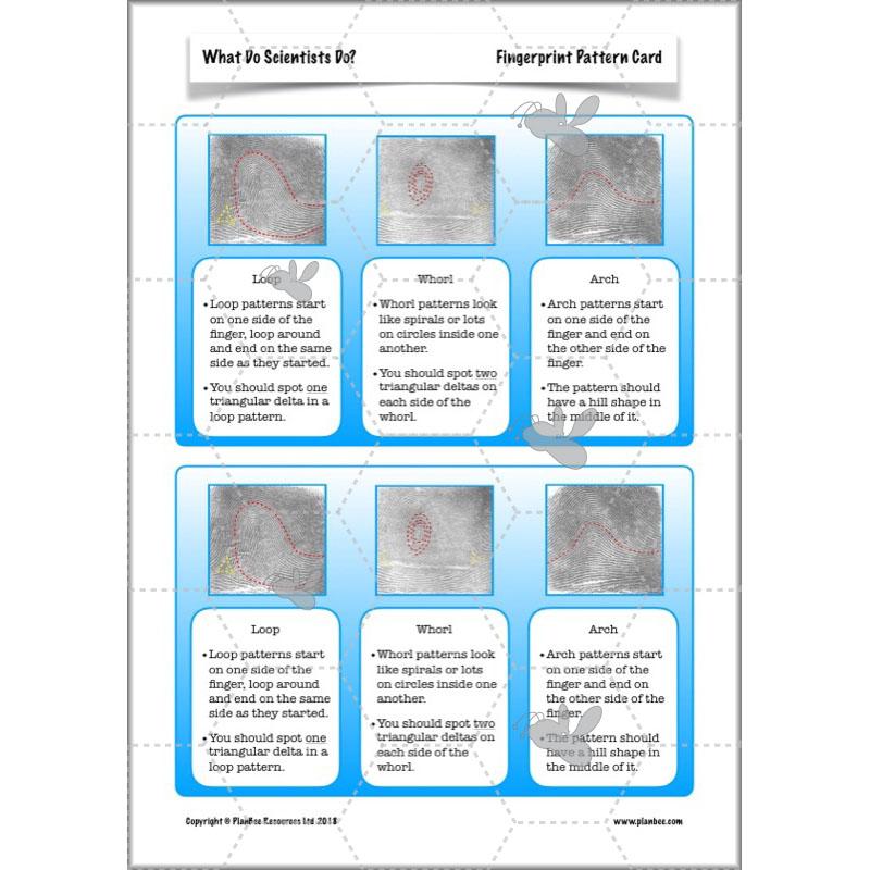 Scientific Enquiry KS2 Lessons - What Do Scientists Do?
