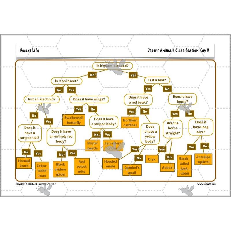 Desert Habitat KS2 Science Lessons by PlanBee