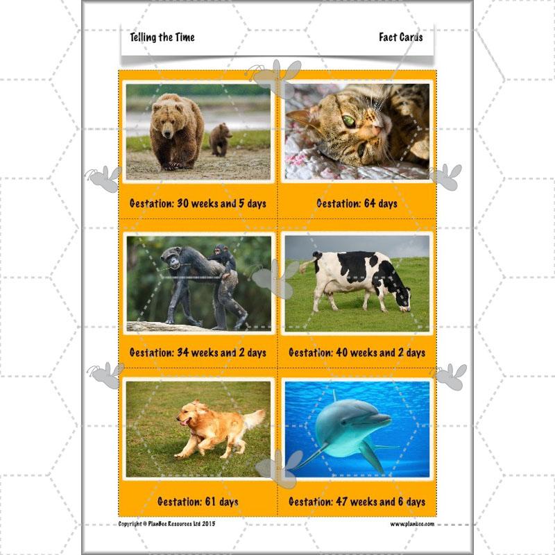 PlanBee Telling the Time KS2 | Year 4 Maths Lessons and Resources