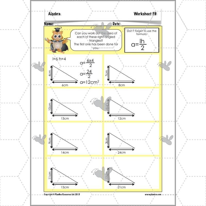 PlanBee Algebra: simple algebra lesson planning for Year 6