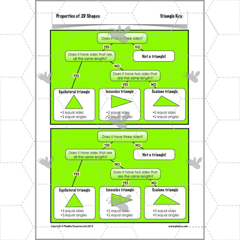PlanBee Year 4 Properties of 2D Shapes KS2 Maths by PlanBee