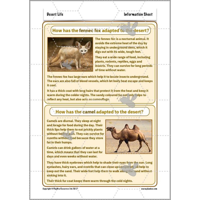 PlanBee Desert Life: KS2 Science Plans