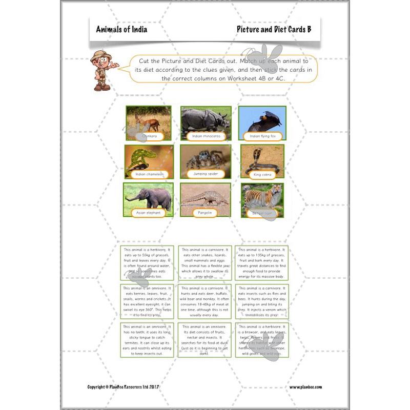 PlanBee Animals of India complete Science scheme of work for KS2