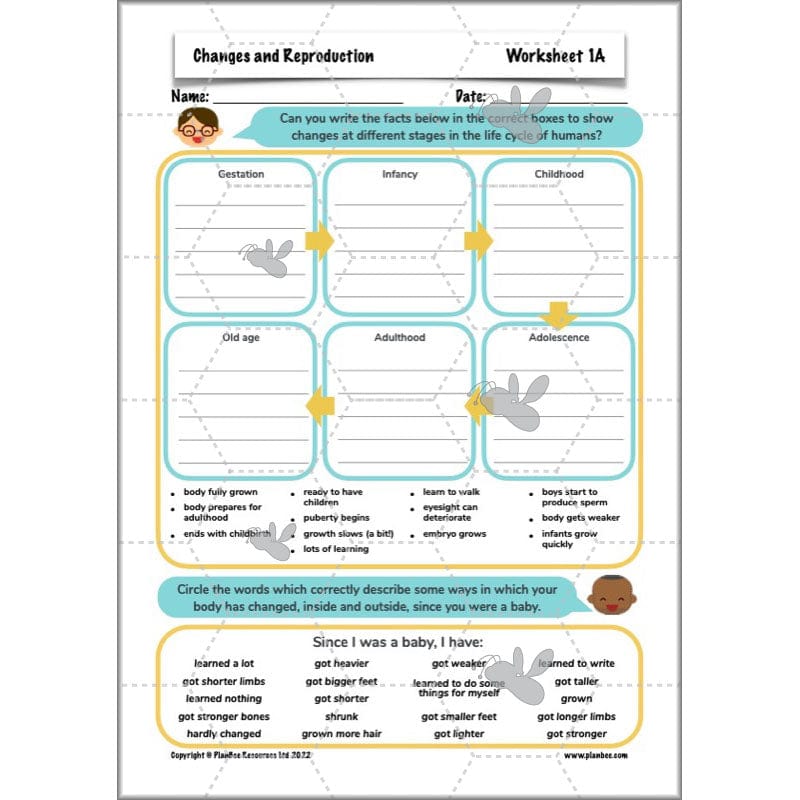 PlanBee Human Life Cycle KS2 lessons | Year 5 Science by PlanBee