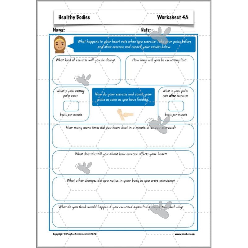 PlanBee Healthy Bodies Animals including Humans Year 6 Planning