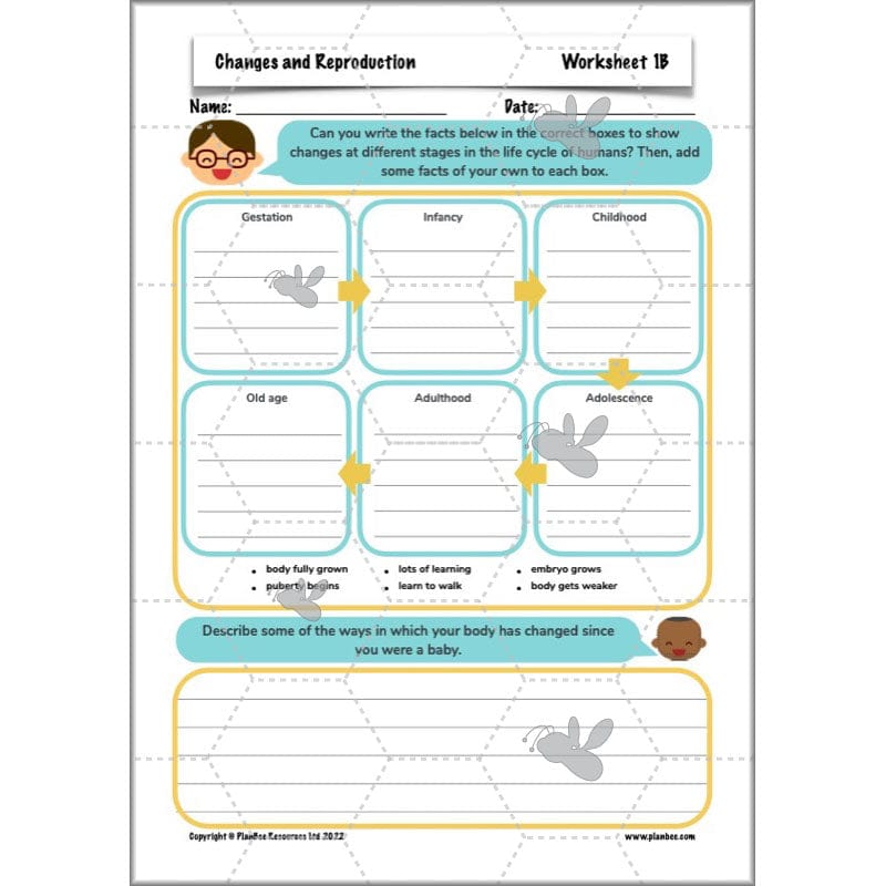 PlanBee Human Life Cycle KS2 lessons | Year 5 Science by PlanBee