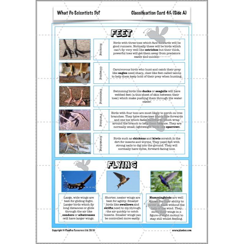 Scientific Enquiry KS2 Lessons - What Do Scientists Do?