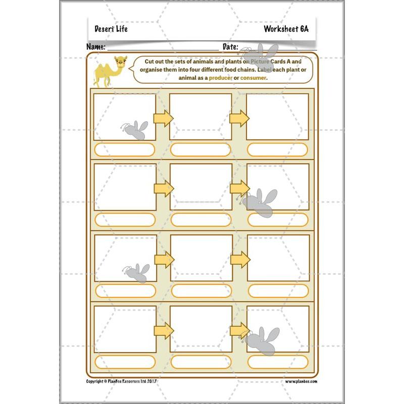 PlanBee Desert Life: KS2 Science Plans