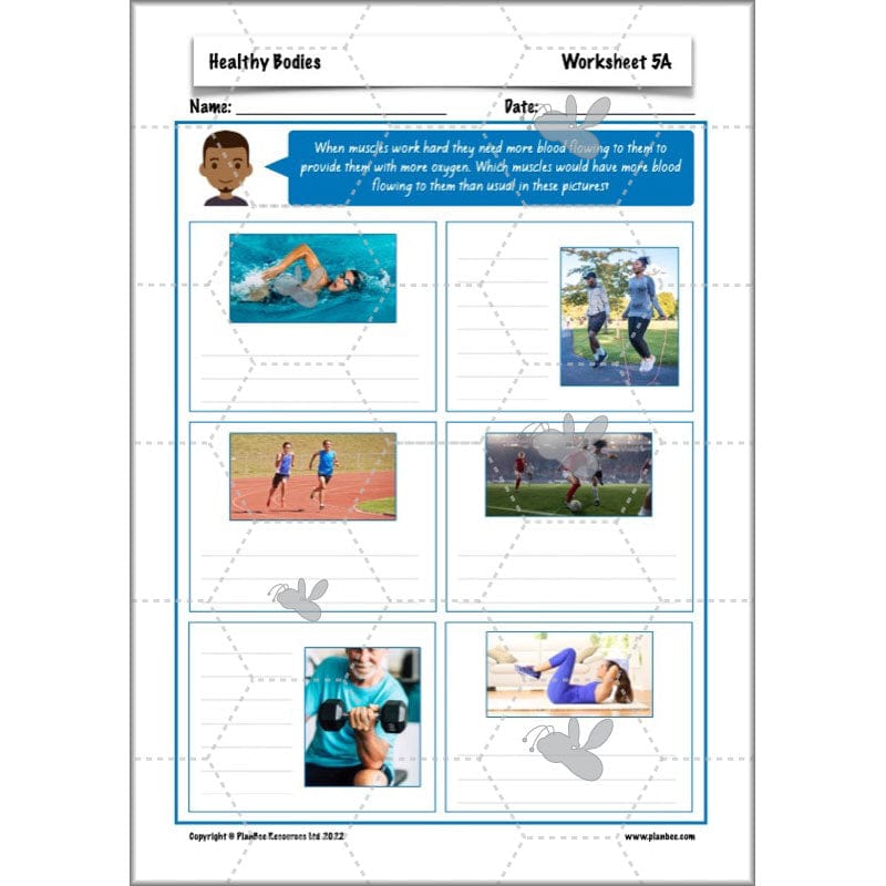 PlanBee Healthy Bodies Animals including Humans Year 6 Planning