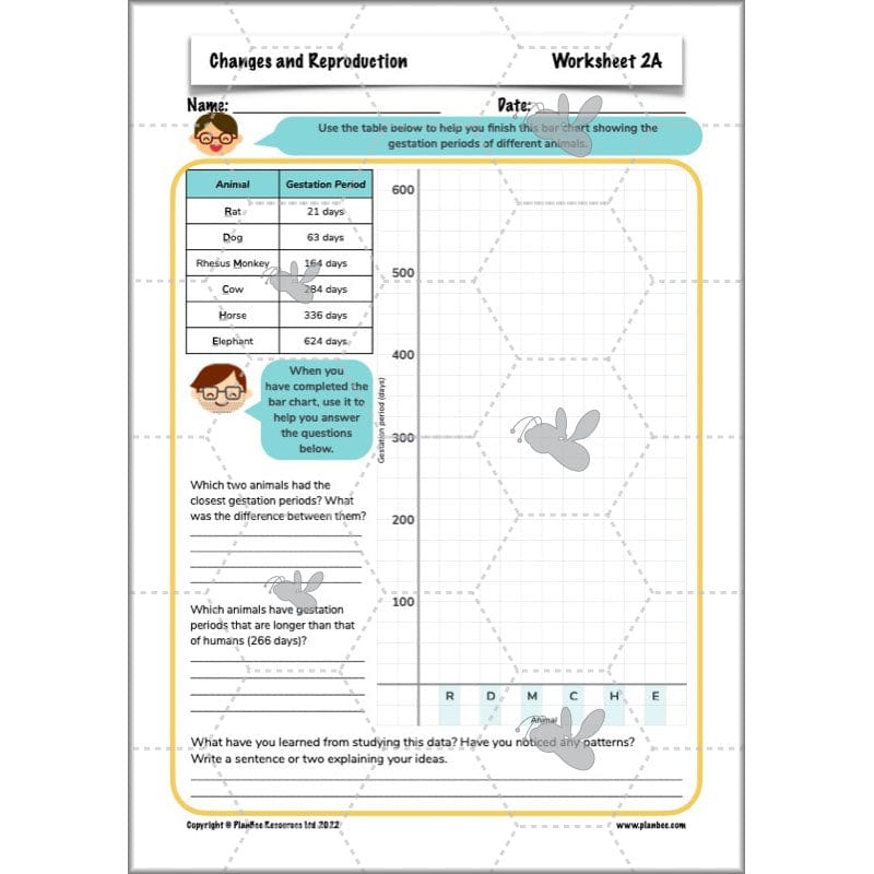 PlanBee Human Life Cycle KS2 lessons | Year 5 Science by PlanBee