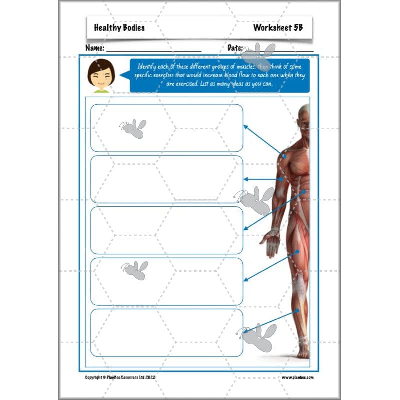 PlanBee Healthy Bodies Animals including Humans Year 6 Planning