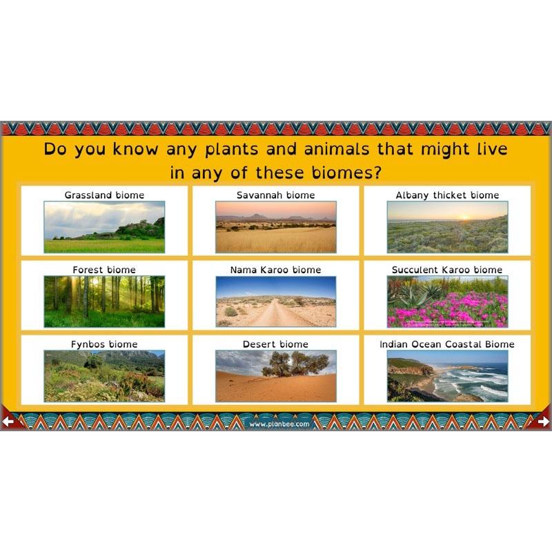 PlanBee Exploring Africa KS2 Geography lessons for Year 5 & Year 6