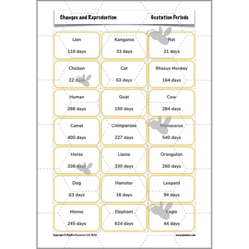 PlanBee Human Life Cycle KS2 lessons | Year 5 Science by PlanBee